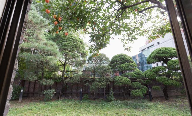 ホテル ザ メイ フォレストヴィル ソウル特別市 エクステリア 写真